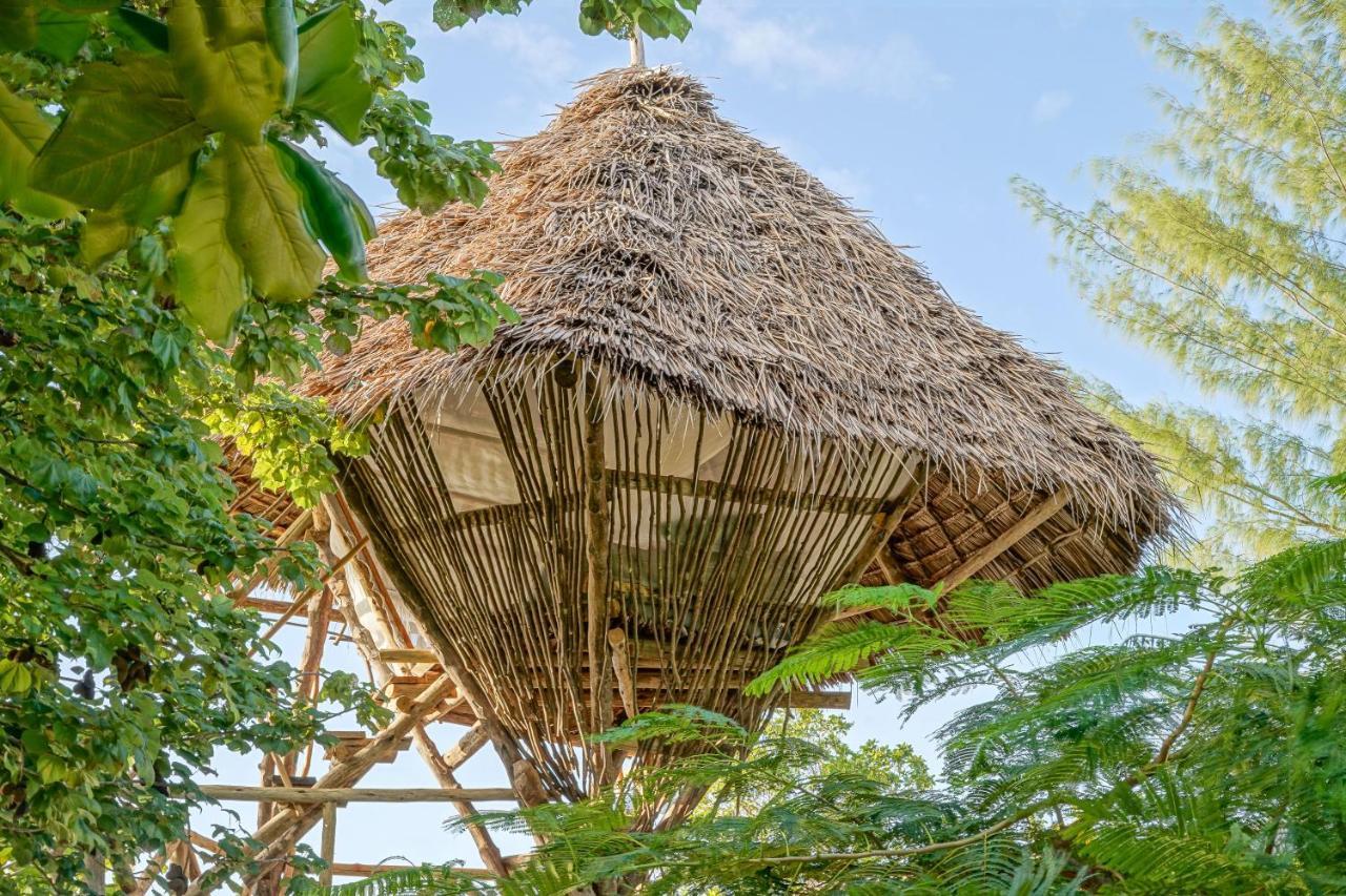Afya Village At The Sea Michamvi エクステリア 写真