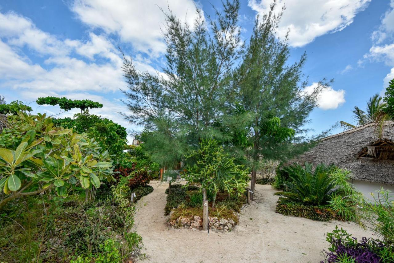 Afya Village At The Sea Michamvi エクステリア 写真