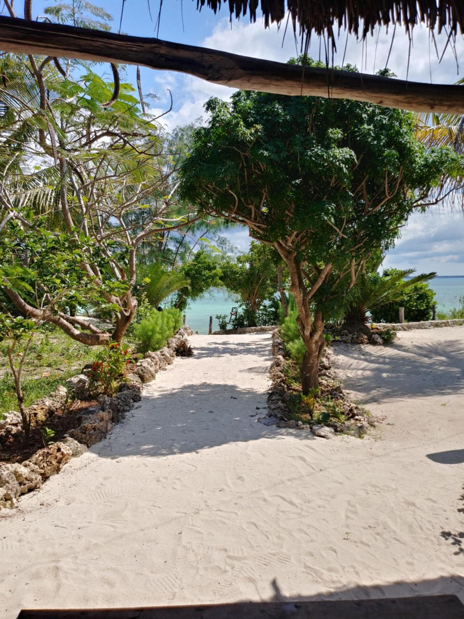 Afya Village At The Sea Michamvi 部屋 写真