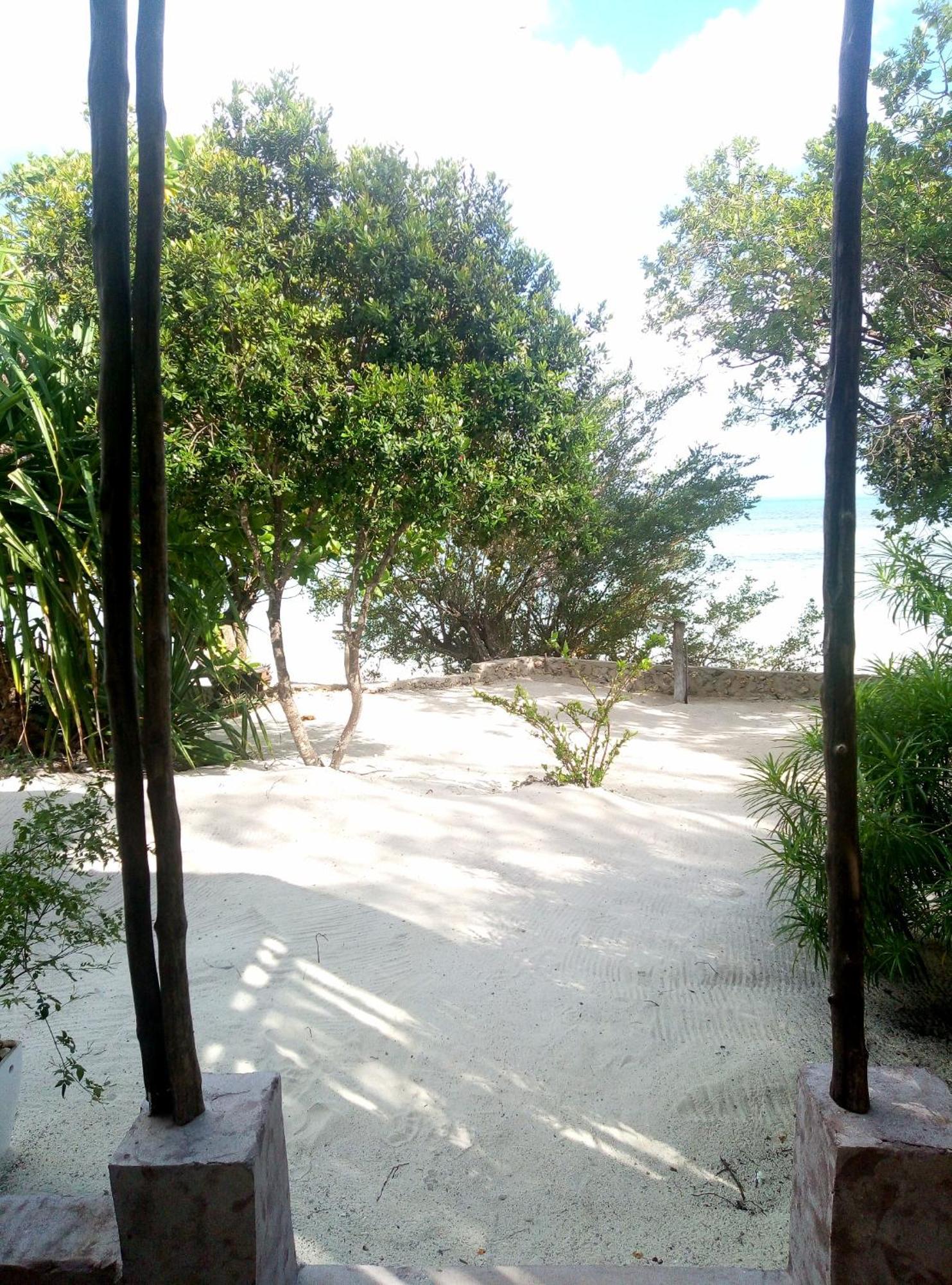 Afya Village At The Sea Michamvi 部屋 写真